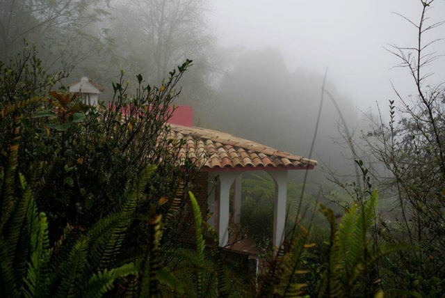 al caer la niebla comienza la magia